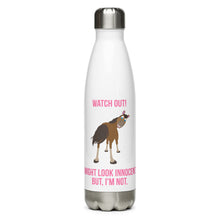 Load image into Gallery viewer, Stainless Steel Water Bottle