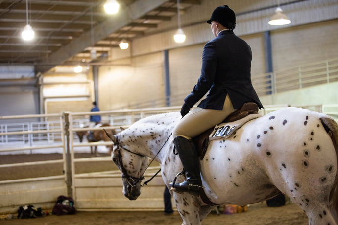 Understanding the Equine Industry: The Importance of Unity and Knowledge