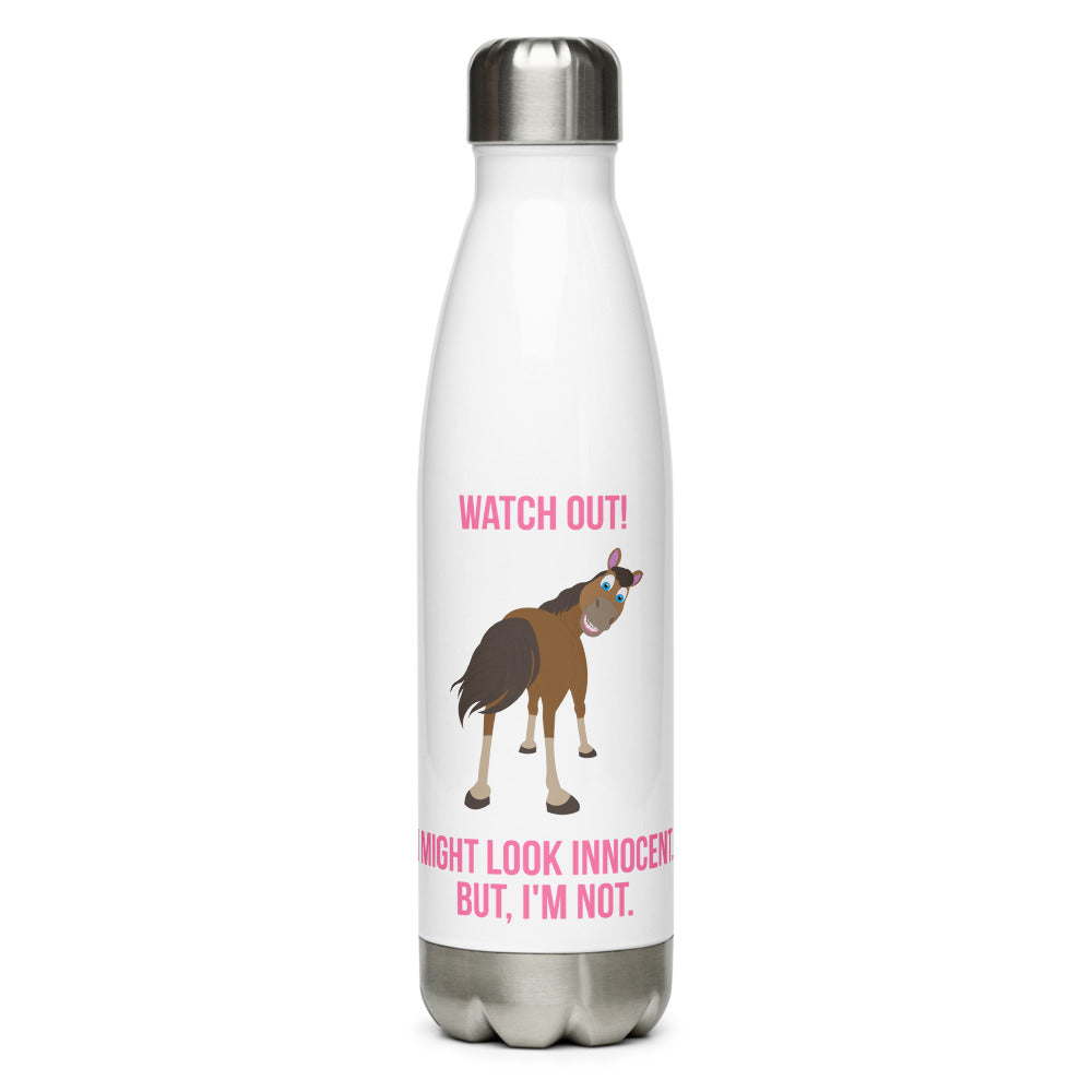 Stainless Steel Water Bottle