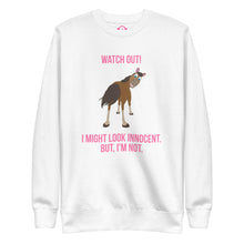 Load image into Gallery viewer, Unisex Fleece Pullover
